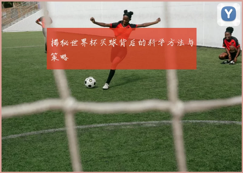 揭秘世界杯买球背后的科学方法与策略
