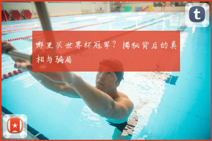 哪里买世界杯冠军?揭秘背后的真相与骗局