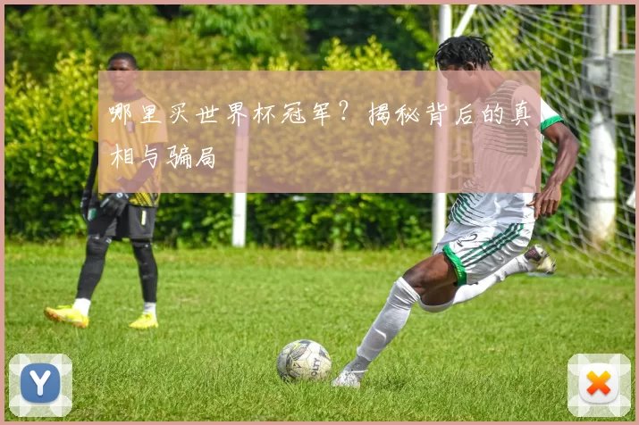 哪里买世界杯冠军?揭秘背后的真相与骗局