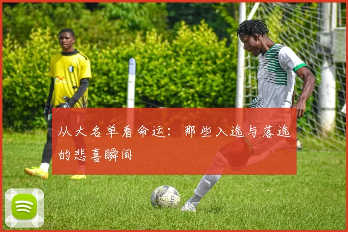 从大名单看命运：那些入选与落选的悲喜瞬间
