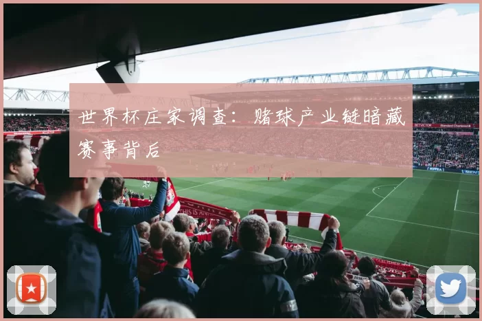 世界杯庄家调查:赌球产业链暗藏赛事背后