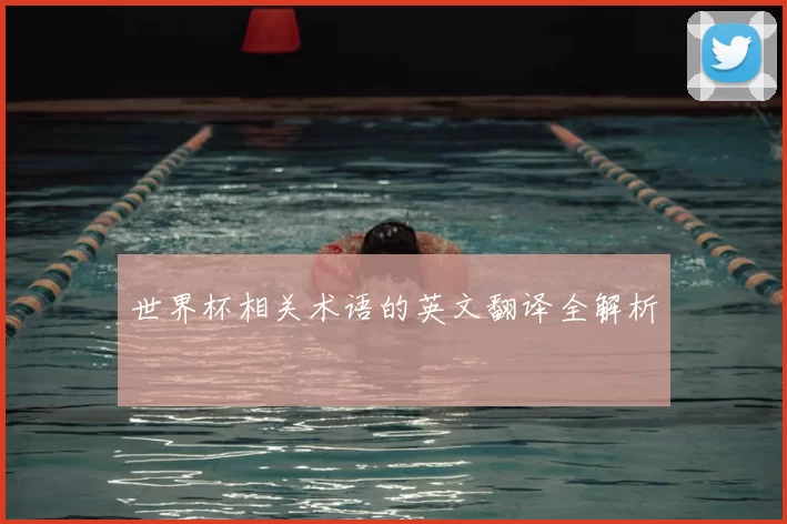 世界杯相关术语的英文翻译全解析