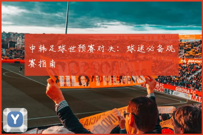 中韩足球世预赛对决:球迷必备观赛指南