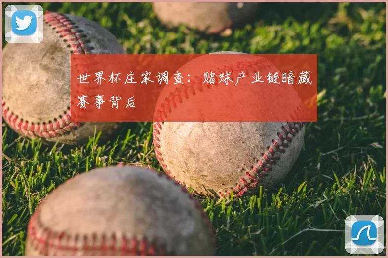 世界杯庄家调查：赌球产业链暗藏赛事背后